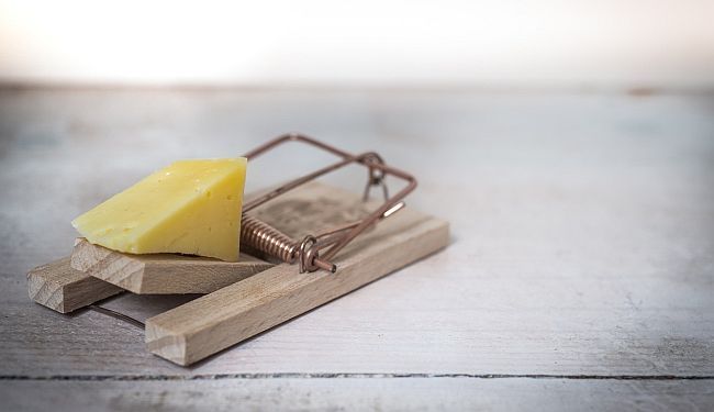 JEZIK I KONZERVATIZAM: Nije teško vidjeti da je jezični purizam desni politički projekt