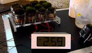 OVO JE BUDUĆNOST: Ne samo da ovaj stol od mahovine odlično izgleda, već i proizvodi struju