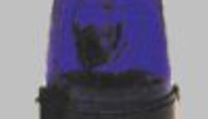 Nijedne nema bolje od naše policije