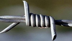 POLITIČKA POVIJEST BODLJIKAVE ŽICE:  Simbol okrutnosti čovjeka prema čovjeku