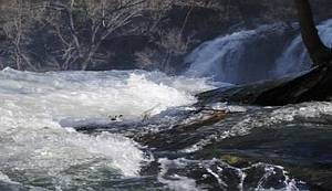 BORIS DEŽULOVIĆ: Bili Arapin, Rus i Amerikanac