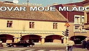 DAN SJEĆANJA NA VUKOVAR: Ne želim pamtiti samo krv!