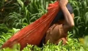 OVO JE JEDNO OD NAJZANIMLJIVIJIH MJESTA NA SVIJETU: Evo kako Hrvati i Srbi mogu surađivati i donijeti nam dobre stvari 