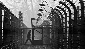 VELTŠMERC: Da li je posle Aušvica uopšte išta važno