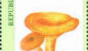 Trovanje siromaštvom