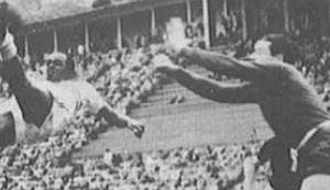 KOMPLEKS ULIČNOG PSETA: Između nacije, komercijalizacije i utopije