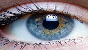 GDJE JE NESTAO ČOVJEK: Švedski stol za HDZ