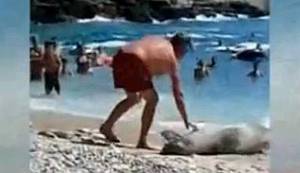 MEDIJI, MAKEDONAC I SREDOZEMNA MEDVJEDICA: Šta se ustvari desilo?