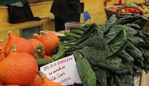 PREHRAMBENI SUVERENITET: Seljaci i aktivisti kao prirodni saveznici