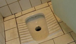 PRIČAJMO O GOVNIMA: Sretan vam Svjetski dan WC-a, recite mu - hvala!