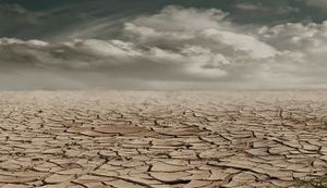 PRIČA IZ ZAGREBNOG ŽIVOTA JOSIPA MLAKIĆA: Miris zemlje