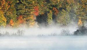 PRIČA IZ ZAGREBNOG ŽIVOTA MARKA TOMAŠA: Bernhard na samrti