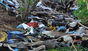 TUMOR NA PLUĆIMA GRADA (FOTO): Rijeka smeća potekla obroncima Parka prirode