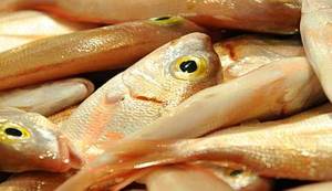 SKOR -5: Kako Hrvatska udruga poslodavaca (ne)doprinosi borbi protiv nezaposlenosti