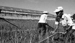 VOLOVI SU KRIVI: Zbog čega su još uvijek žene manje plaćene od muškaraca?