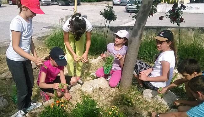 DOZA POZITIVE: Šest dana stvarali smo bolje i zdravije društvo