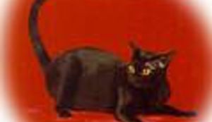 Sreća prati sretne!