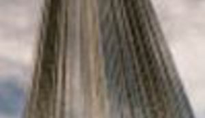 Tragični skok, ili pad