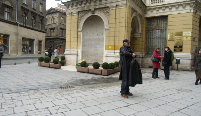 LJEVLJA BIH: Združena navodna ljevica