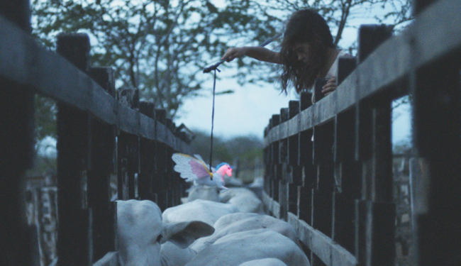 13. ZFF: Na programu latinoamerički filmski "boom" 