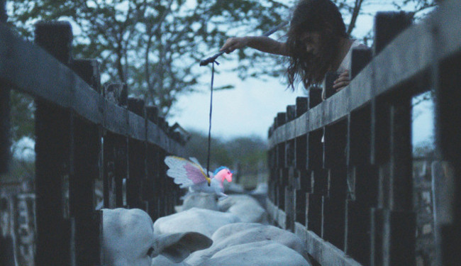 ZFF PETAK: Dan za brazilski rodeo i snovitu estonsku sagu