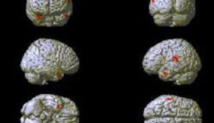 Zaboravi, ako možeš...