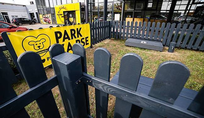 PSI DOBRODOŠLI: Zagreb dobio svoj prvi „dog friendly“ auto salon