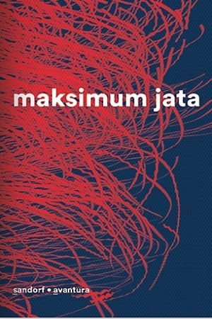 MAKSIMUM JATA: Knjiga bez fabule, knjiga stanja, atmosfere i raspoloženja - odreda sivih