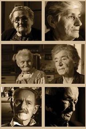 ZAVEŠTANJE: Priče jasenovačkih logoraša kojima moramo verovati ako se želimo nazvati ljudima