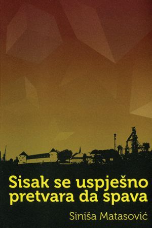 SISAK SE USPJEŠNO PRETVARA DA SPAVA: Pjesnik ozbiljnih namjera i nimalo uspavljujuće štivo