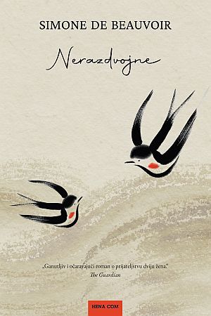 NERAZDVOJNE: Provokativan i dojmljiv, ali i neujednačen i nedorađen tekst