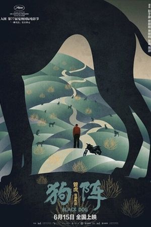 BLACK DOG: Pasji ugao