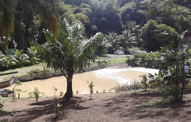 Destilerija šećerne trske