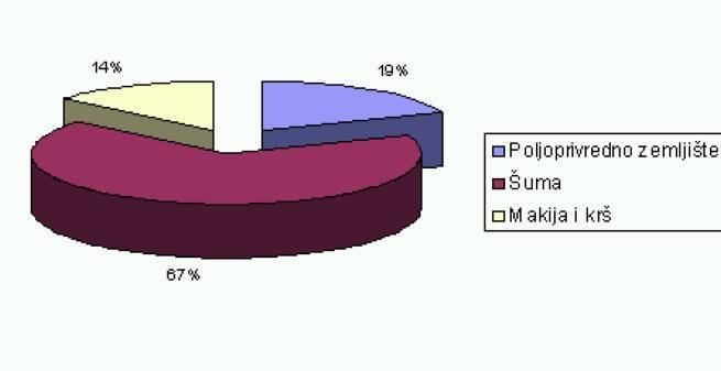 Ilustracija razminiranje
