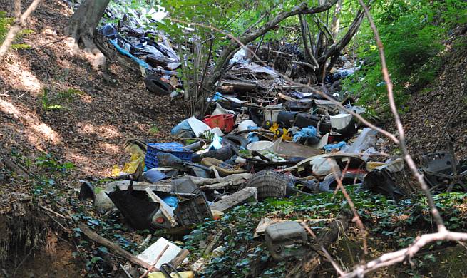 Park prirode Medvednica