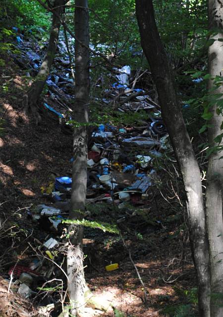 Park prirode Medvednica