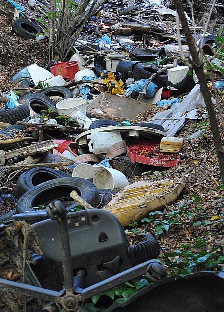 Park prirode Medvednica