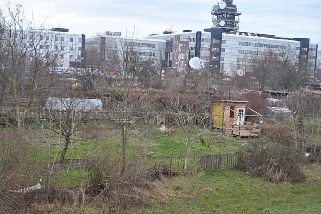 Urbani vrt Prisavlje