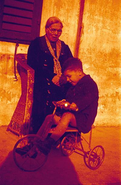 Simeona Šima Matavulj