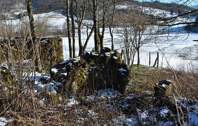 Hašani Branko Ćopić