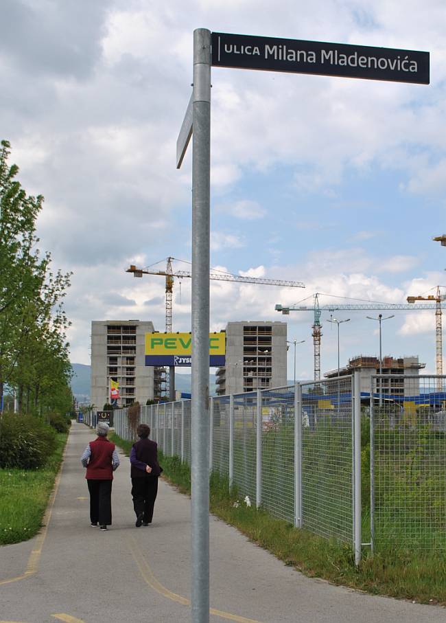 Ulica Milana Mladenovića