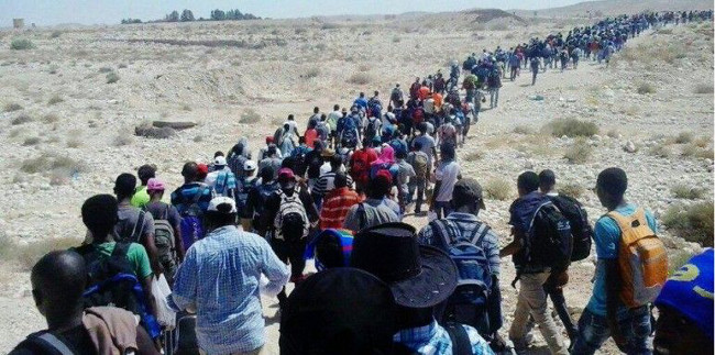 Eritrejske izbjeglice u maršu preko Sinaja