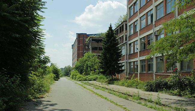 Borovo