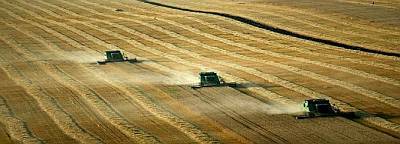 Vojvodina, plodna ravnica