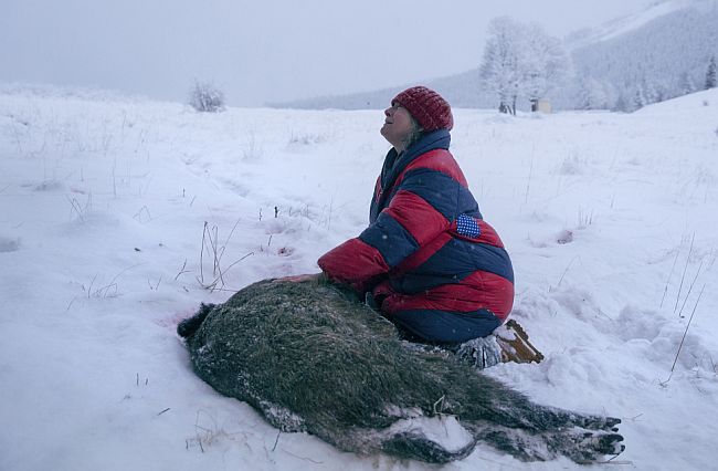 Agnieszka Holland Tragovi