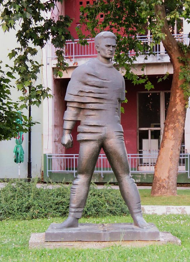 Žikica Jovanović Španac