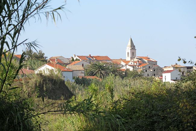 Susak