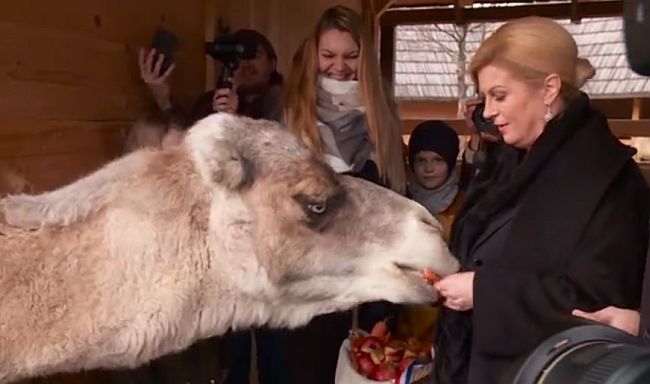 Kolinda Grabar Kitarović