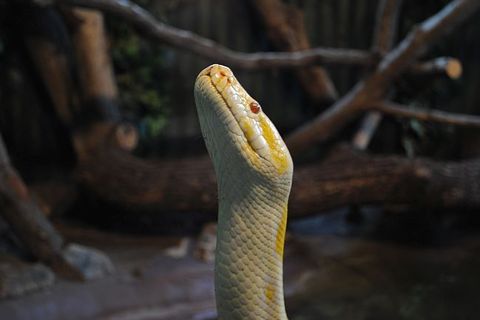 ISPRED LUPIGINOG OBJEKTIVA: Naši fotoreporteri vama za podršku