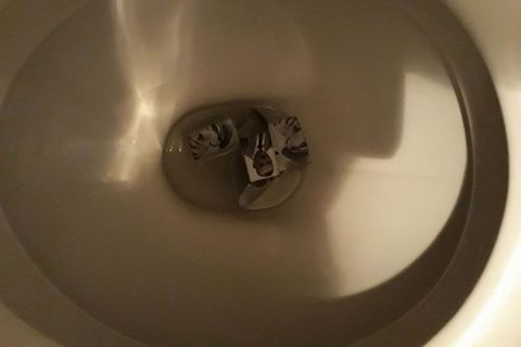 ZAGREBAČKA TRADICIJA: Primjereno proslavljen 10. travnja